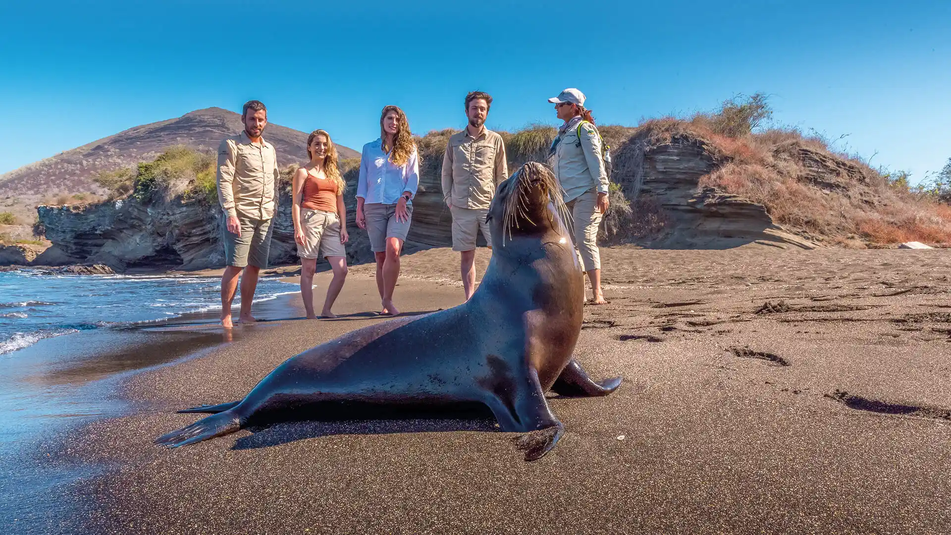 León marino de la isla Galápagos