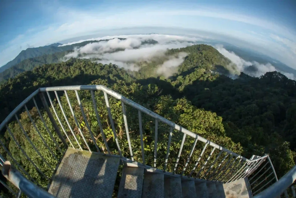 Torre de Observación del Mashpi Lodge