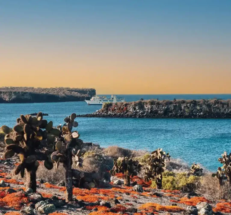 Yacht Isabela Ii Exploring The Galapagos Islands