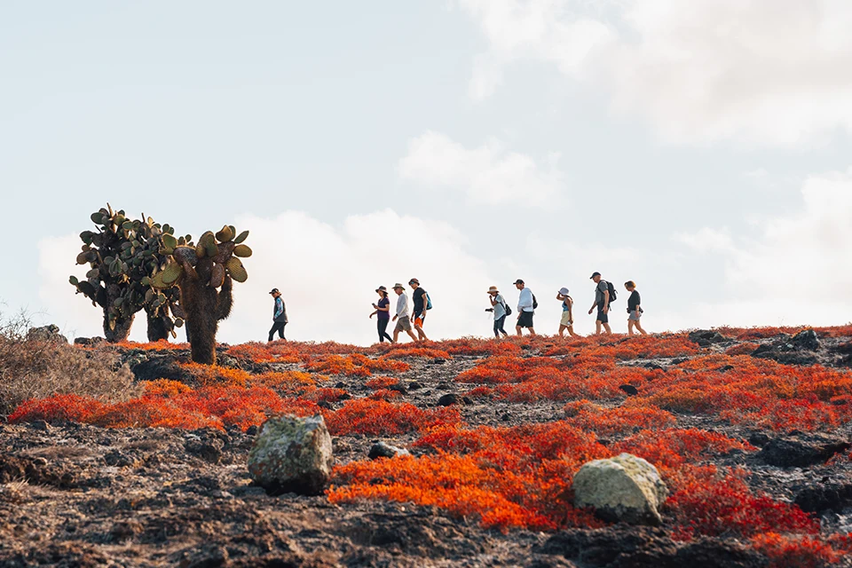 Best Time Of Year To Visit Galapagos For Hiking