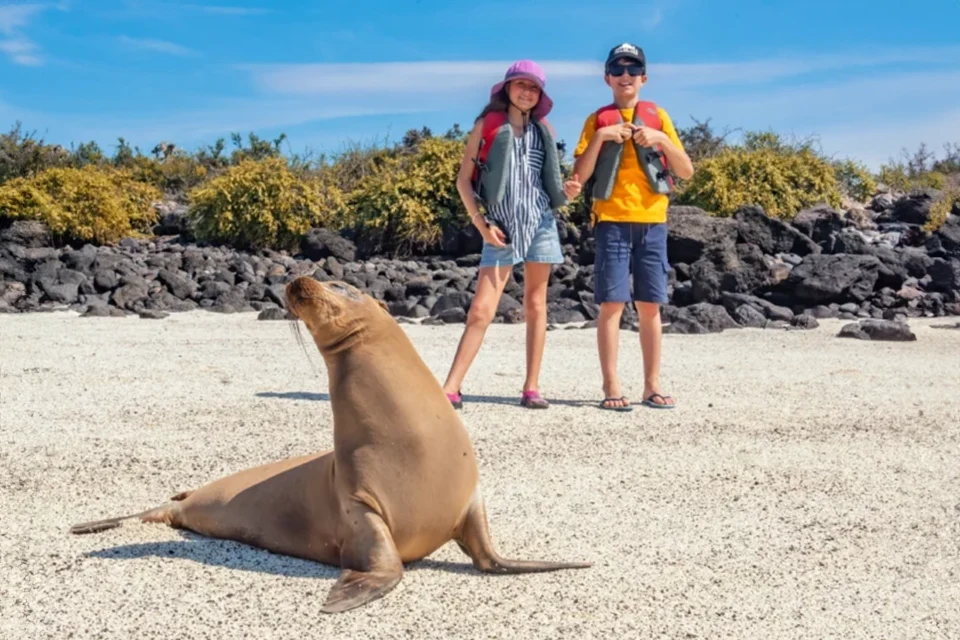 Galapagos Sea Lion Galapagos Sea Lion