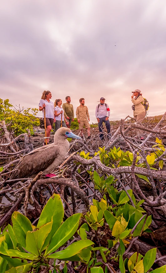 Day 5 Galapagos Family Cruise Package