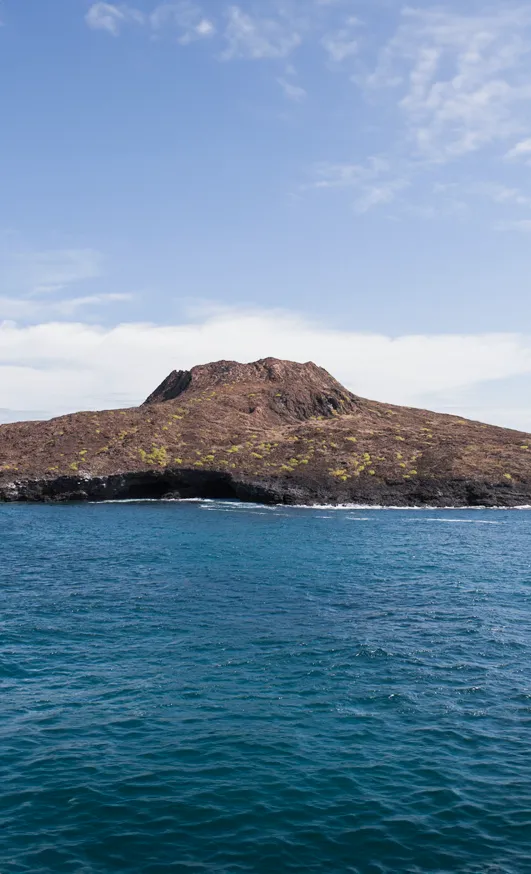 Day 7 Mashpi Lodge And Galapagos Islands Package