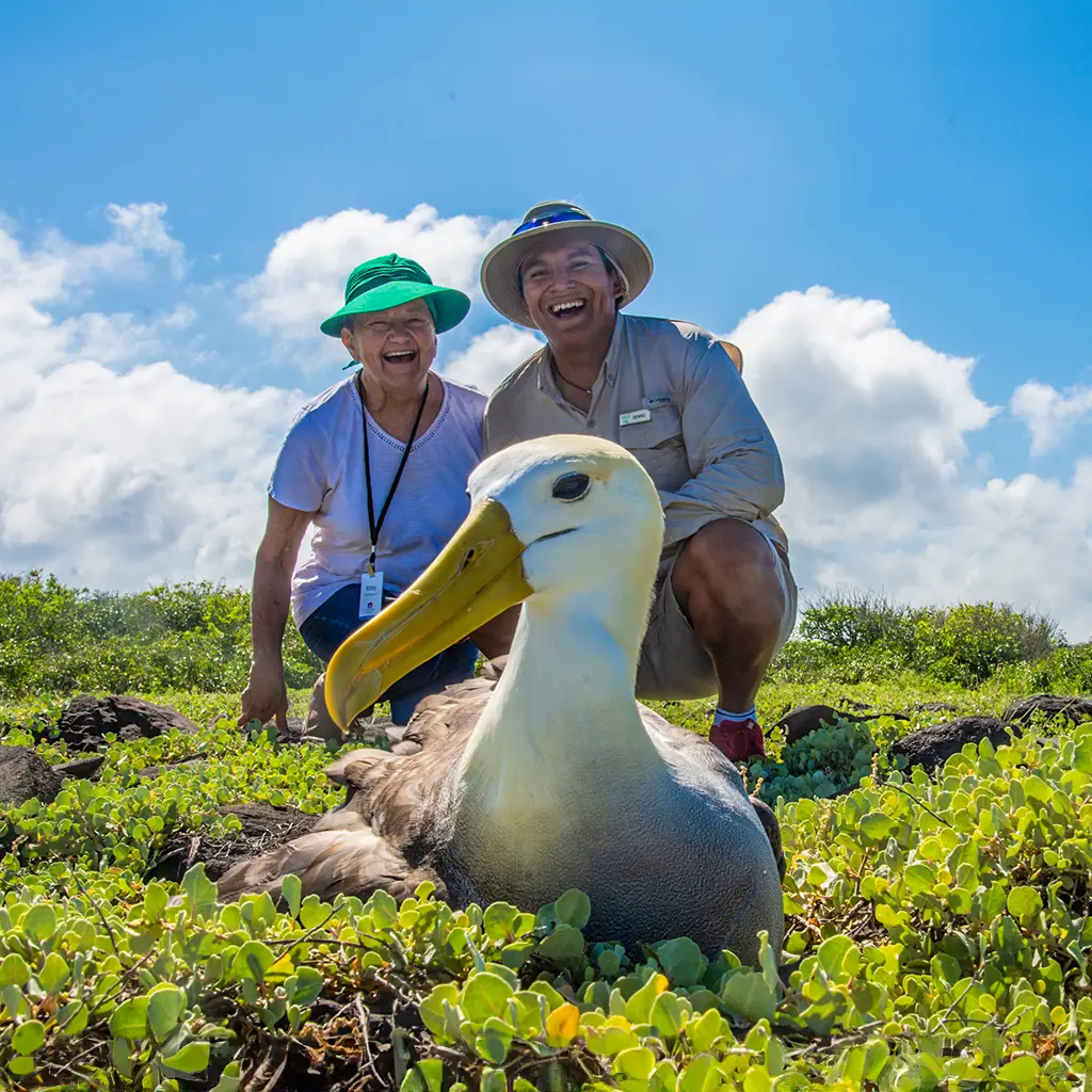 Galapagos Experience Punta Suarez Española Albatross