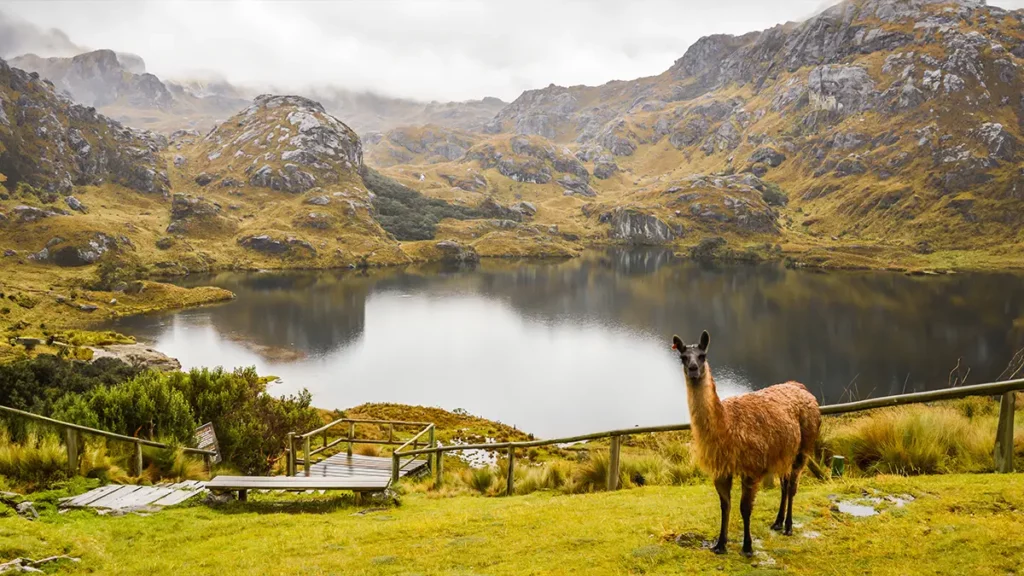 El Cajas National Park near Cuenca