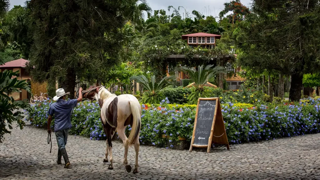 Hacienda La Danesa and Classic Guayaquil