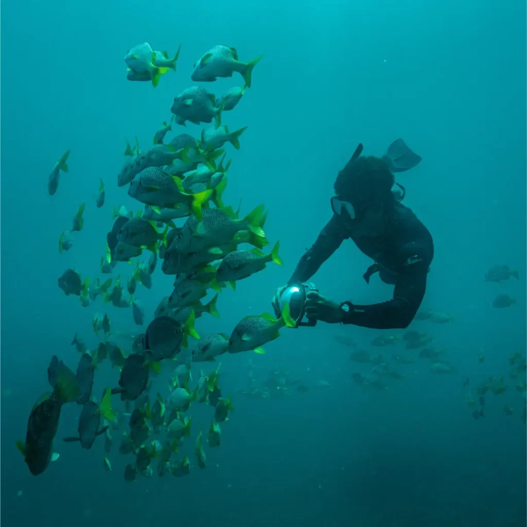 Buceo de superficie, Galápagos - Ecuador