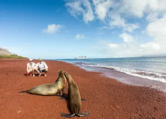 Dos leones marinos de Galápagos en la playa de arena roja de la isla Rábida con visitantes al fondo.