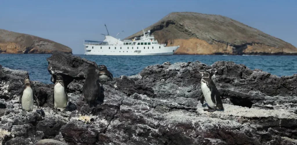 Galapagos cruises.