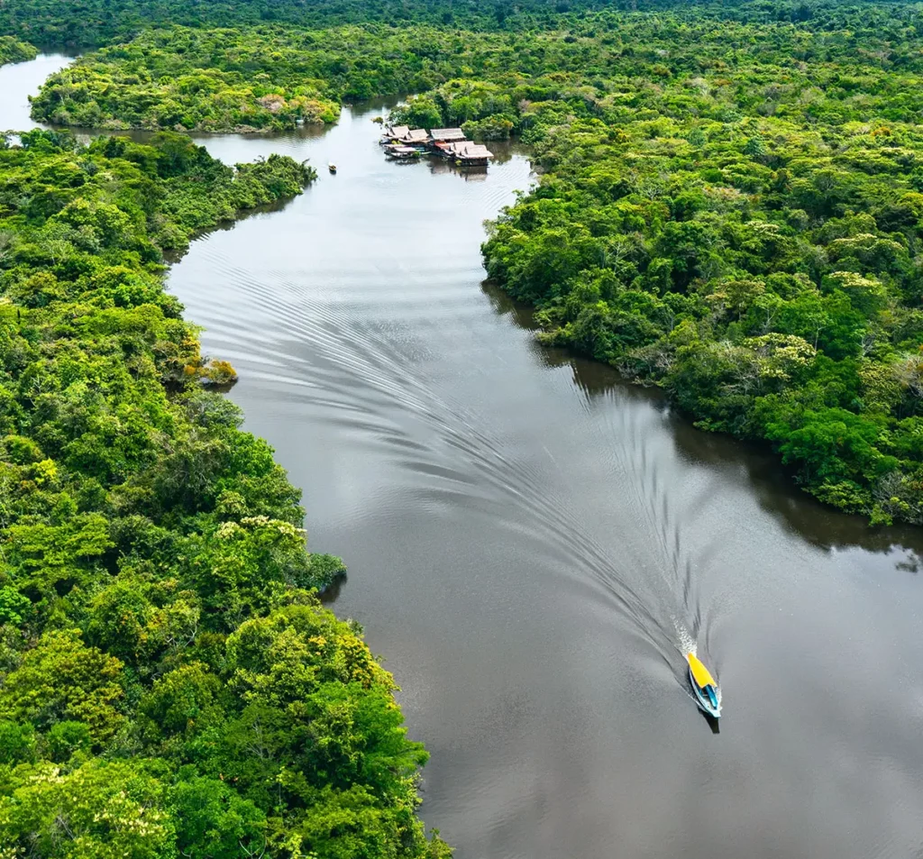 Qué esperar de un crucero por el río Amazonas a través de la densa selva tropical de Perú Qué esperar de un crucero por el río Amazonas a través de la densa selva tropical de Perú