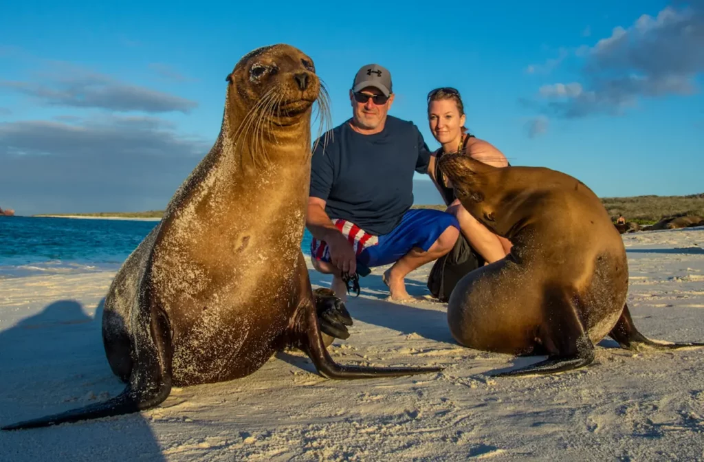 Galapagos sea lion on the beach beside guests on a shore excursion