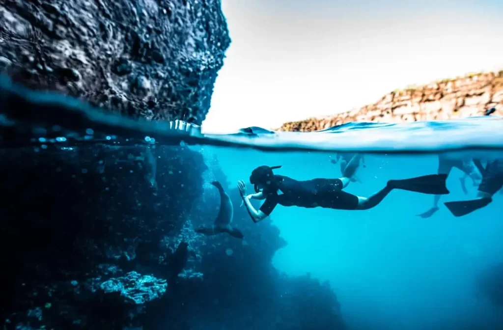 Un buceador con esnórquel bucea junto a un león marino de Galápagos en aguas cristalinas cerca de una roca volcánica.