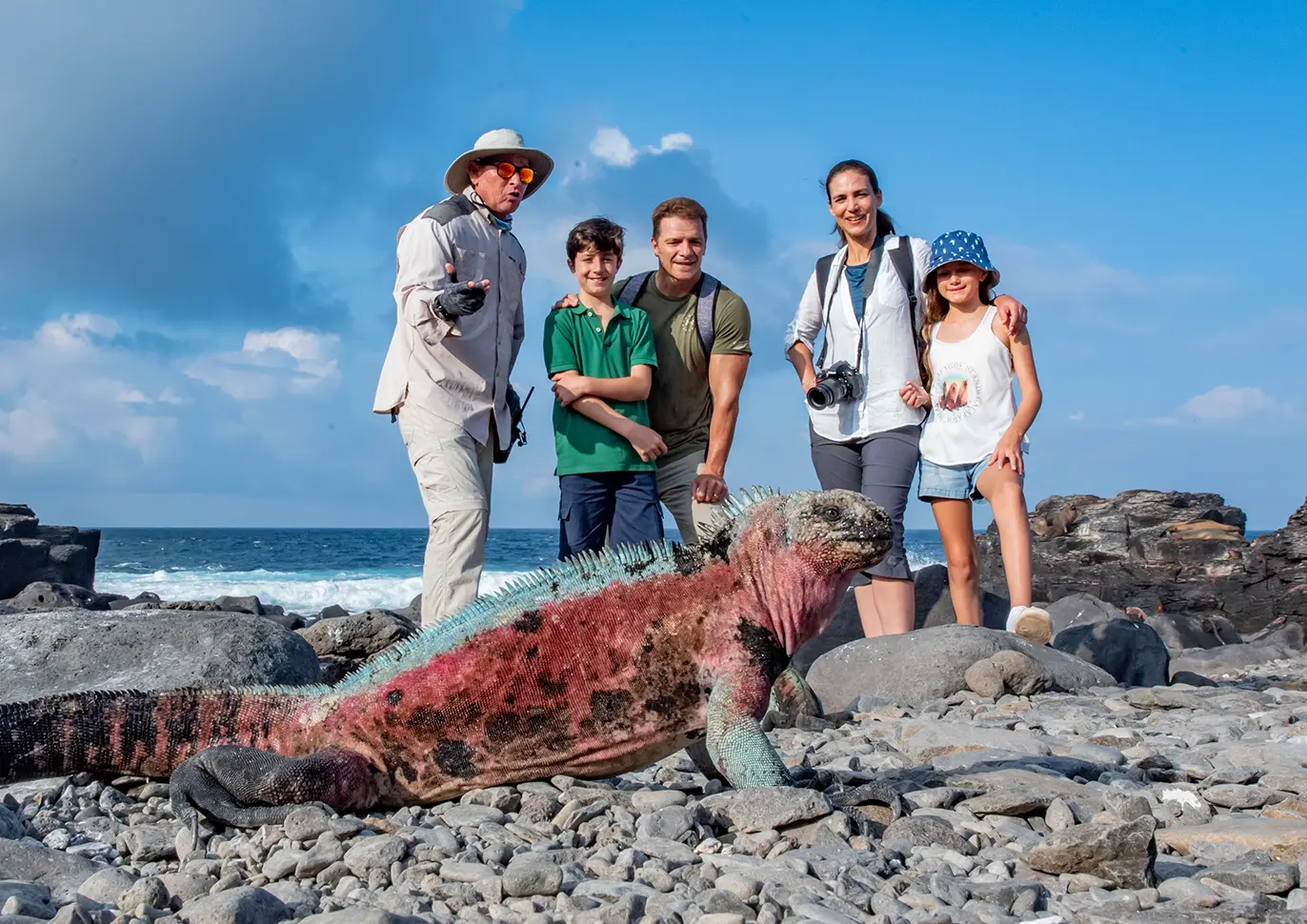 Galapagos Islands, Iguana Galapagos Islands, Iguana