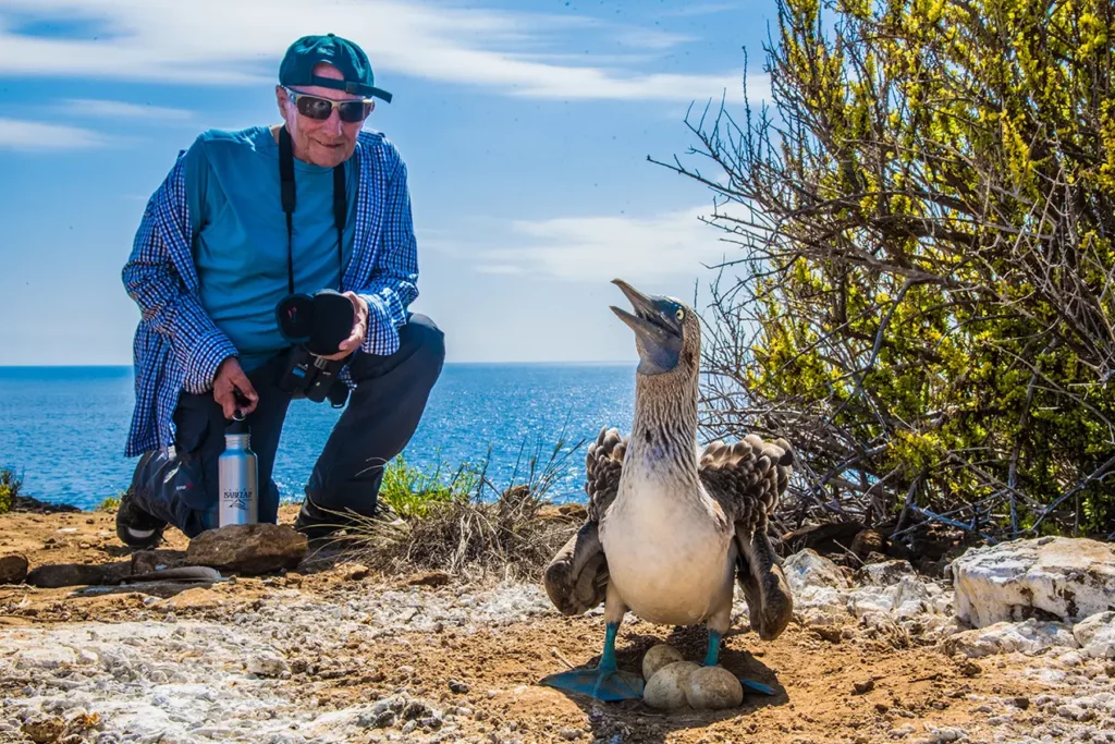 Avistamiento de piqueros patiazules en las Islas Galápagos: expedición en grupo reducido durante los tours a Machu Picchu y Galápagos.