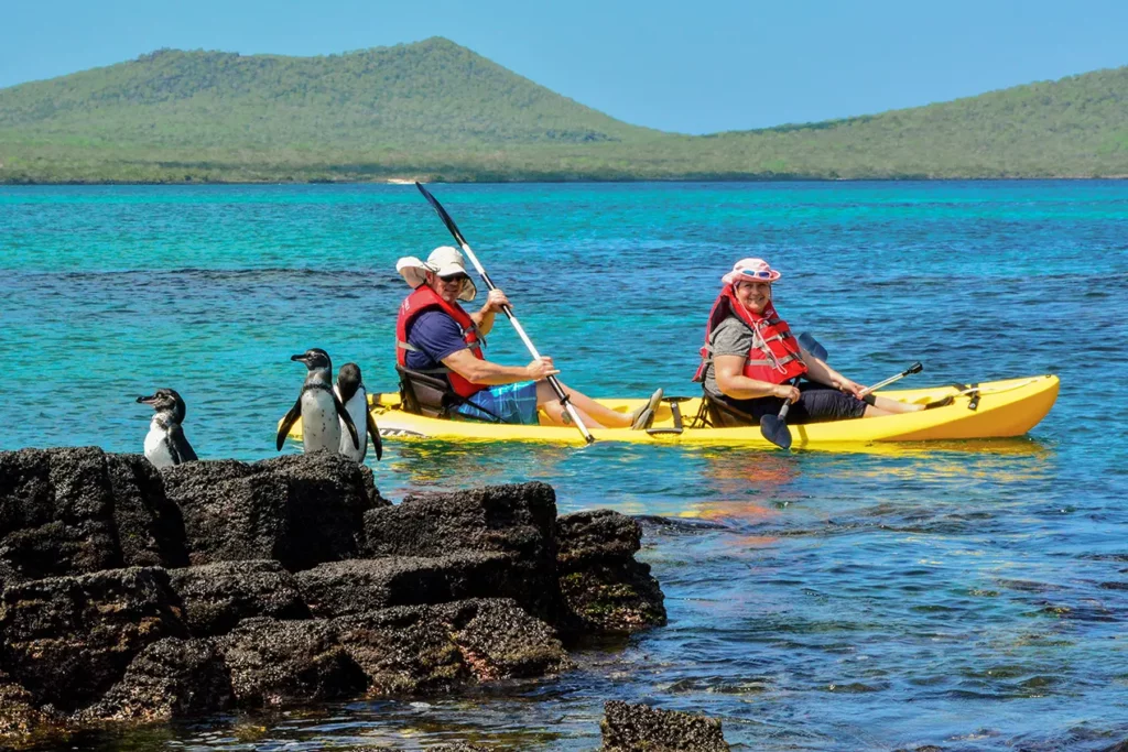Two kayakers on turquoise water next to a Galapagos penguin on black lava rocks, Floreana Island