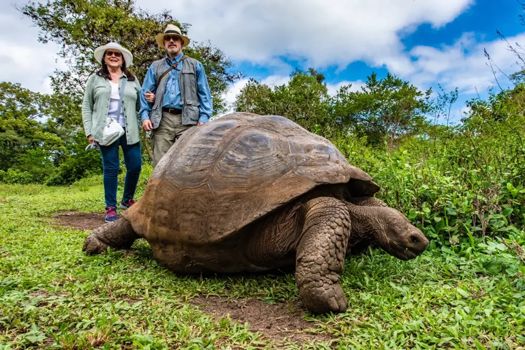 Viaje en pareja con tortugas gigantes de Galápagos en una excursión guiada por naturalistas a Galápagos y Machu Picchu — Metropolitan Touring