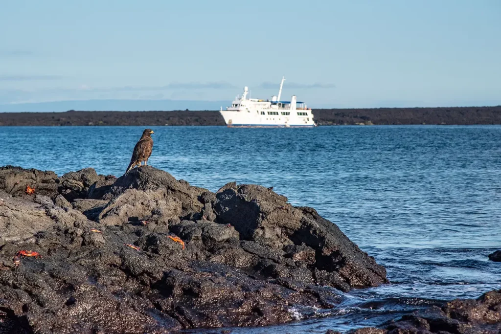 Volcanic Coastline At Punta Espinosa, Fernandina Island, With A Yacht Anchored Offshore In The Galápagos Volcanic Coastline At Punta Espinosa, Fernandina Island, With A Yacht Anchored Offshore In The Galápagos