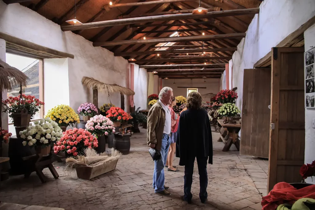 Visitantes recorriendo la sala de exhibición de rosas en Hacienda La Compañía