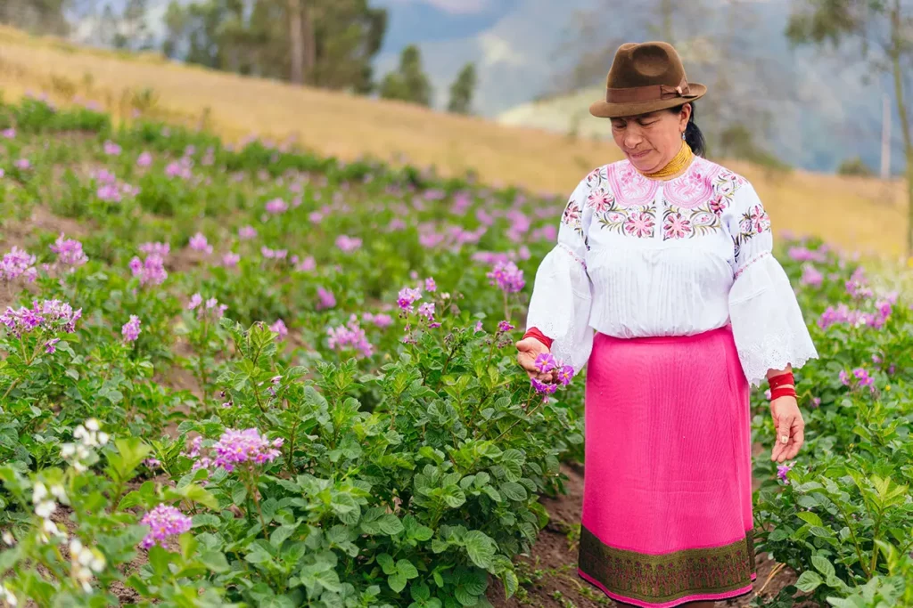 Woman in traditional dress at a flower plantation near Imbabura, Ecuador