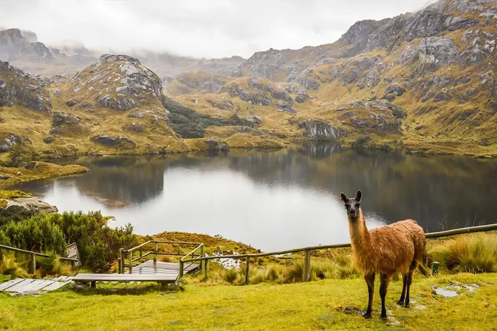 El Cajas National Park near Cuenca