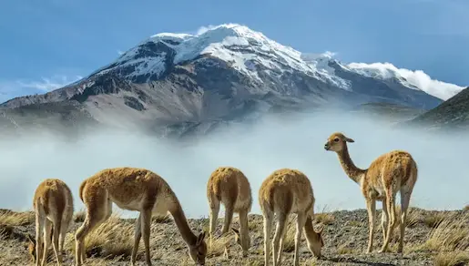 Volcán Chimborazo