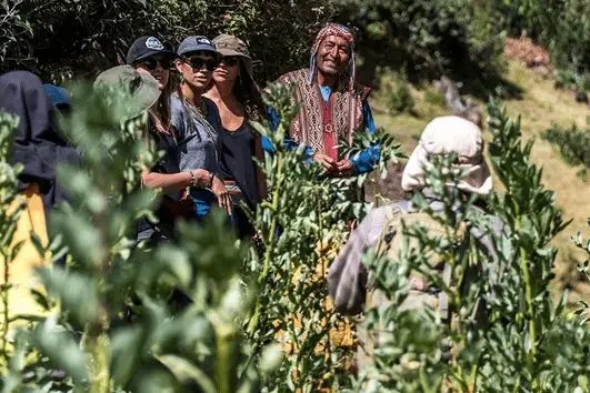 Tour the Sacred Valley