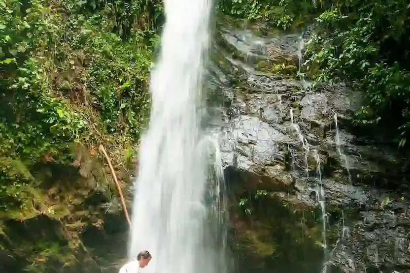 Waterfall At Mashpi Lodge