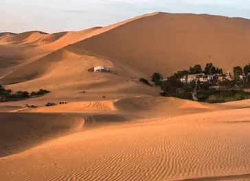 Dunes Of Ica