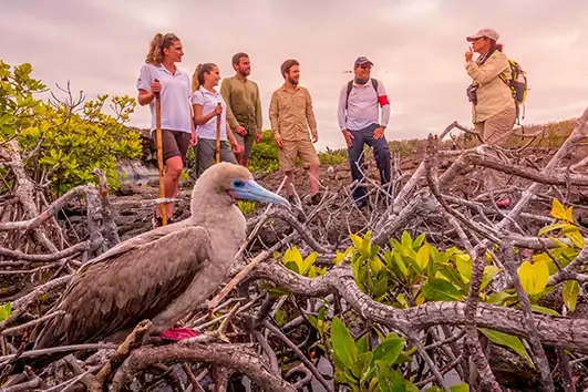 Day 3 Machu Picchu and Galapagos Islands Cruise