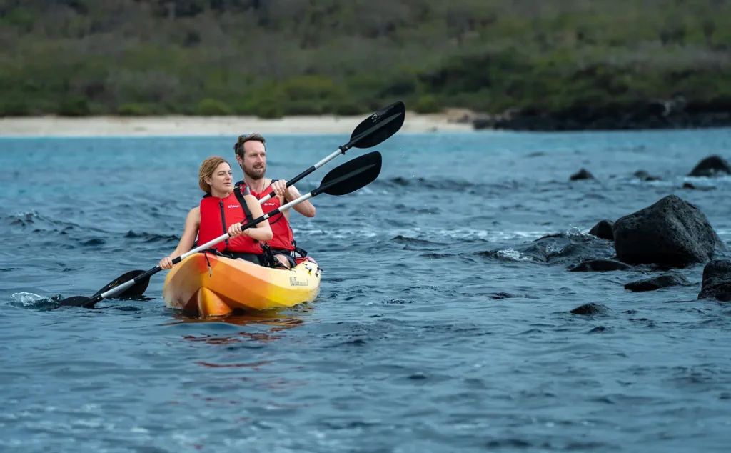 Couple kayaking along a mangrove-lined shore in the Galapagos Islands