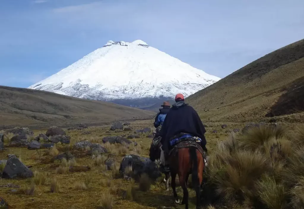 Avenue of the volcanoes