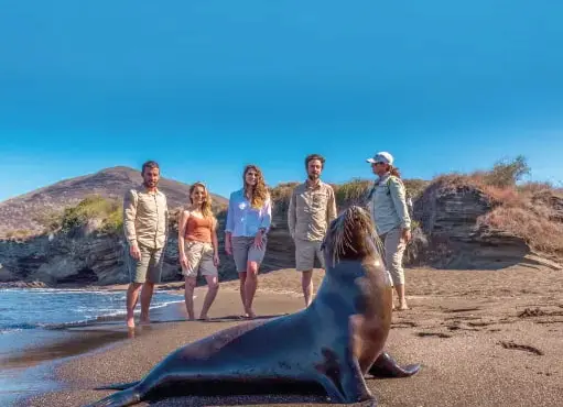 Tourists And A Guide With A Sea Lion