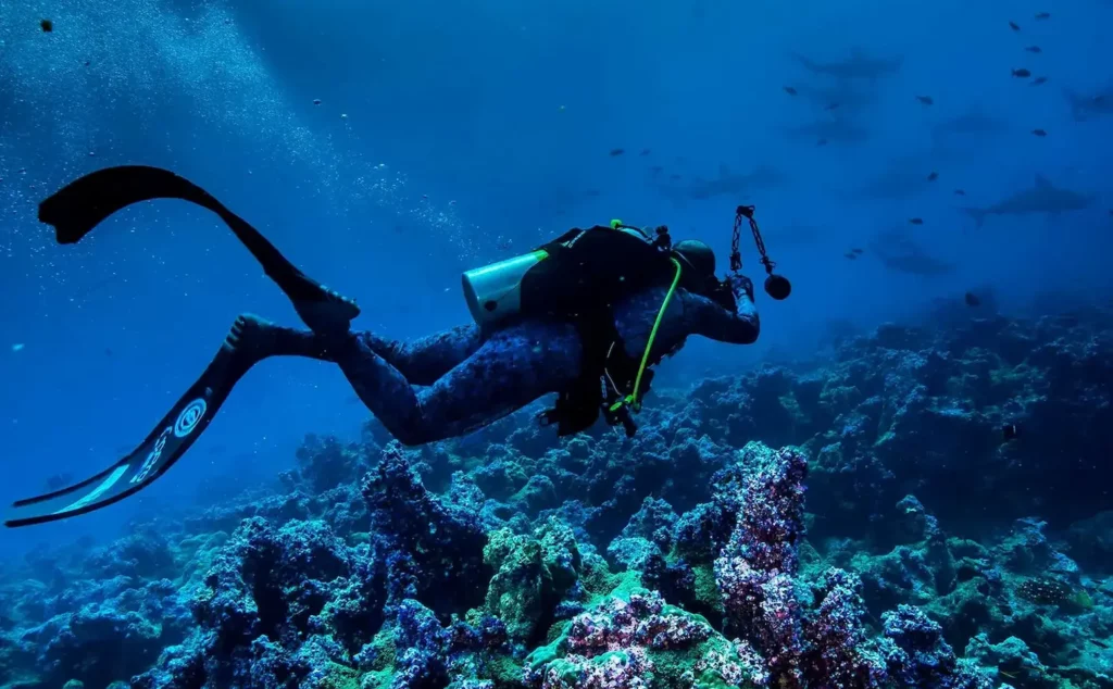 Scuba diving