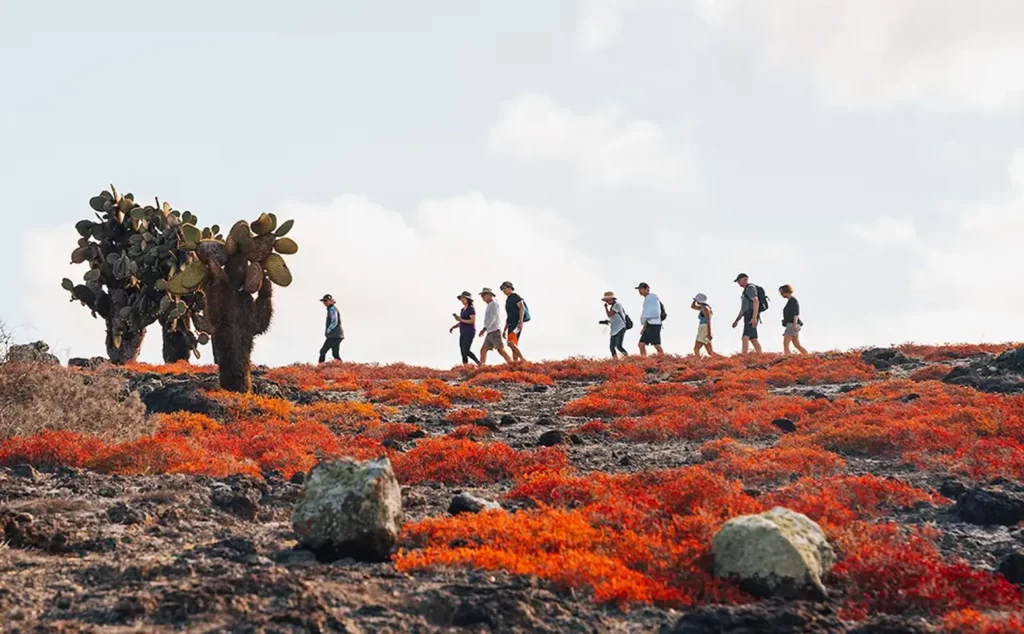 Adventurous hiker exploring the Galapagos Islands