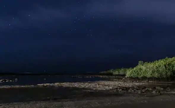 Galapagos Snorkeling