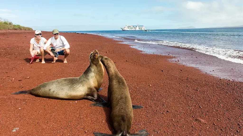 Sea Lion, Galapagos — Yacht Isabela